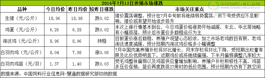 鸡评.png