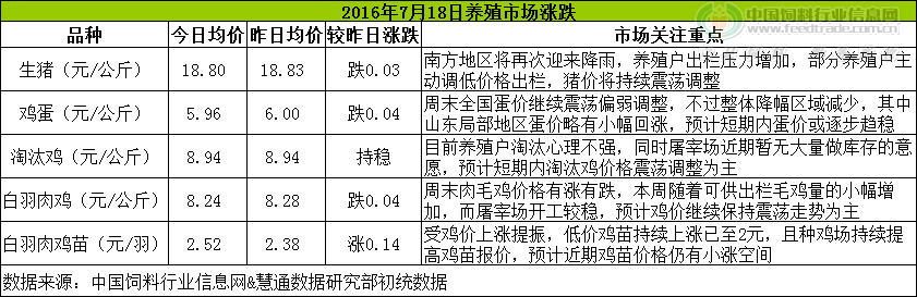 鸡评.png