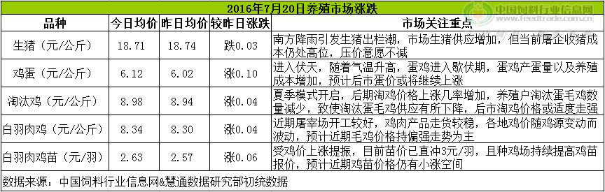 鸡评.png