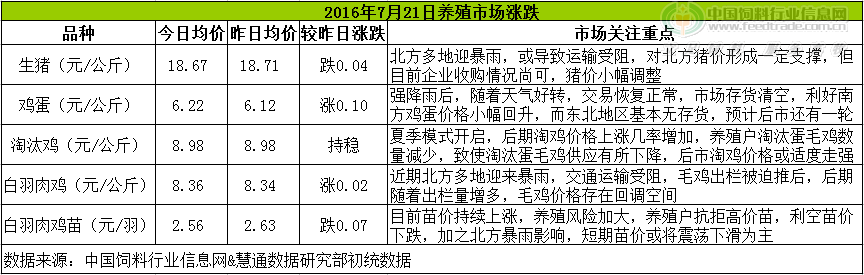 鸡评.png