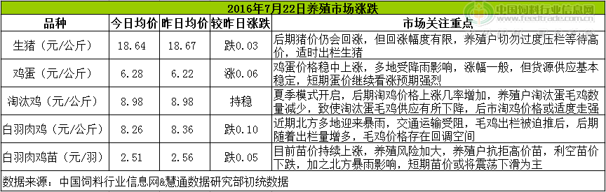 鸡评.png