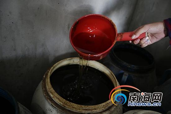 养猪场老板用这种油掺和在饲料里喂猪。南海网记者刘洋摄