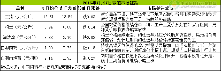 鸡评.png