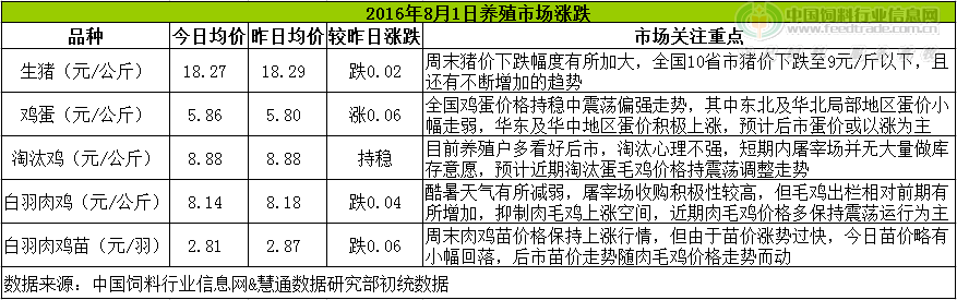 鸡评.png