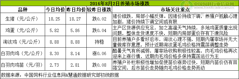鸡评.png