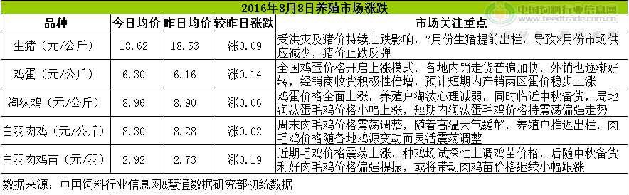 鸡评.png
