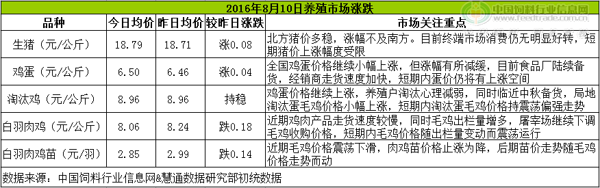 鸡评.png