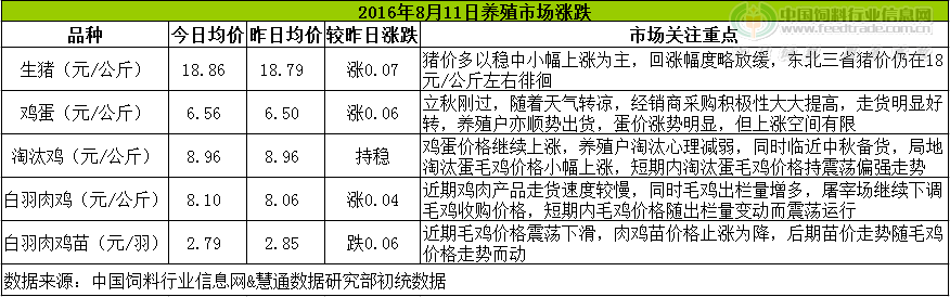 鸡评.png