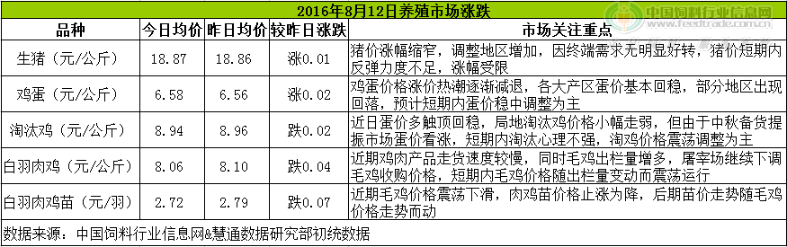 鸡评.png