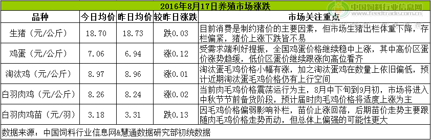 鸡评.png