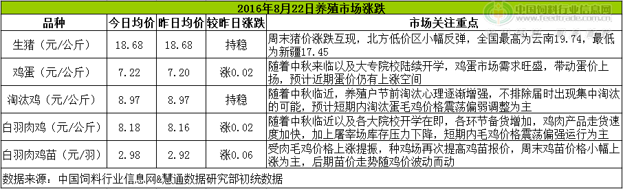 鸡评.png