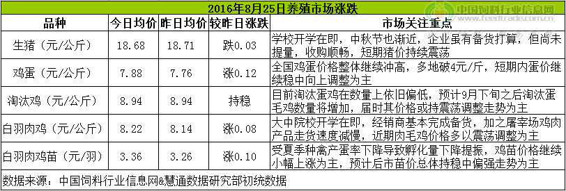 鸡评.png