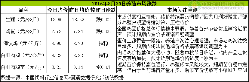 鸡评.png