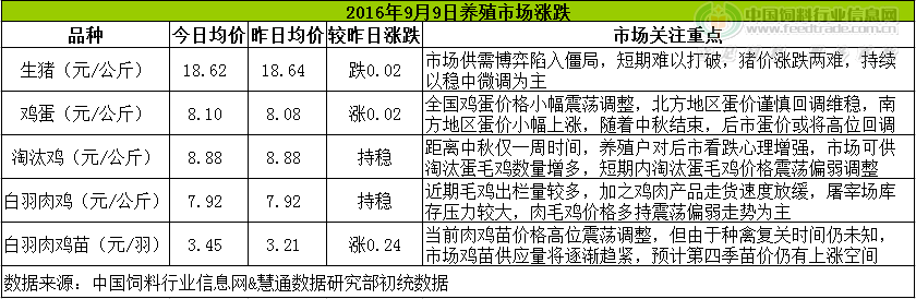 鸡评.png