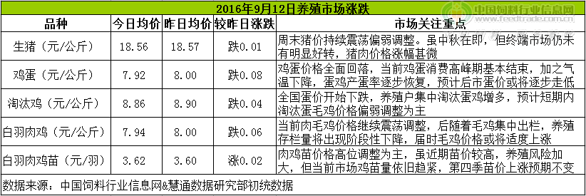 鸡评.png