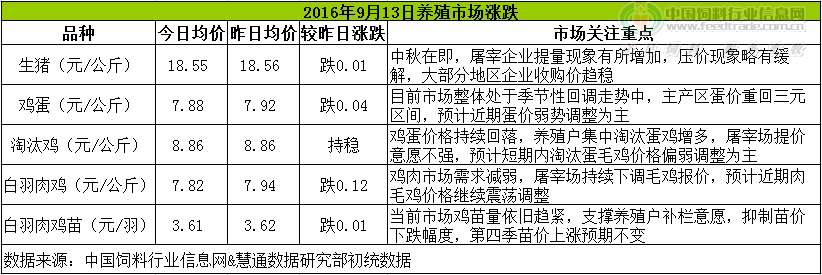鸡评.png