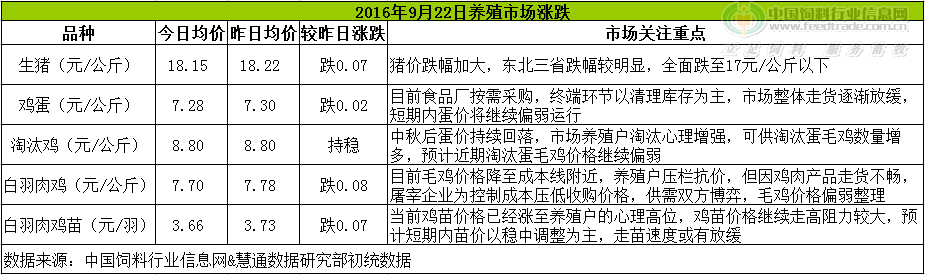鸡评.png