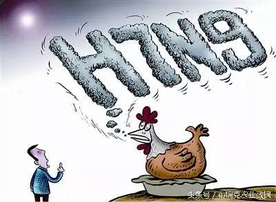 2、中国禽产品的供给缺口