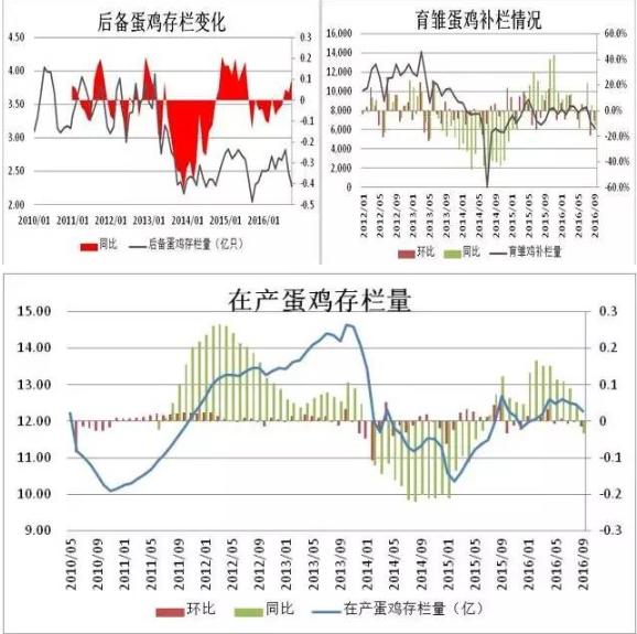 中长期供应担忧 鸡蛋期价短期反弹