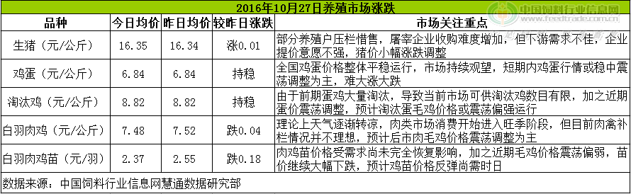 鸡评.png