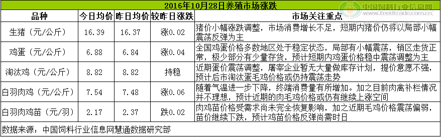 鸡评.png