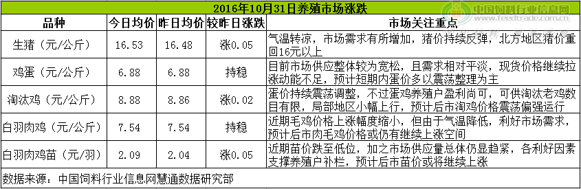 鸡评.png