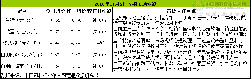鸡评.png