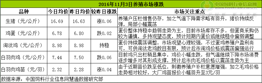 鸡评.png