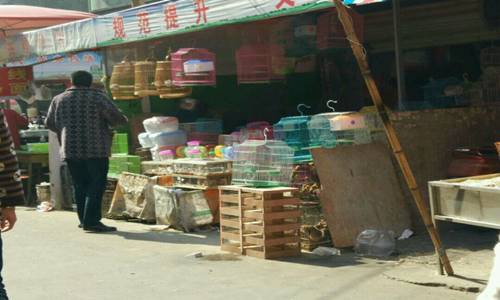 受H7N9禽流感影响阜阳鸡蛋价格大跌 市民应注意防范鸟类传染