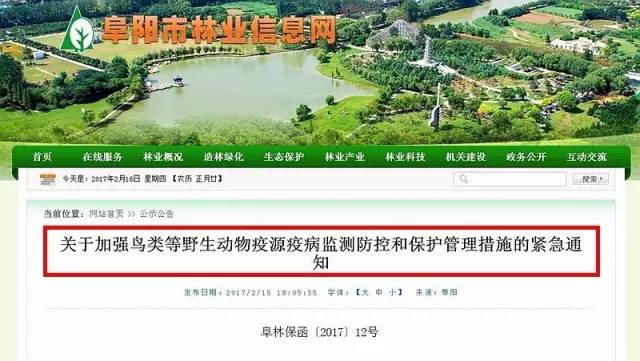 受H7N9禽流感影响阜阳鸡蛋价格大跌 市民应注意防范鸟类传染