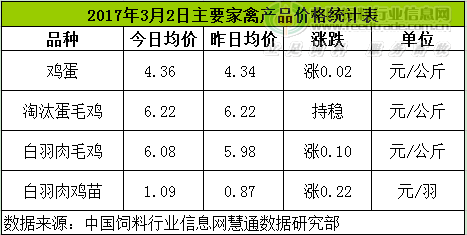 鸡评.png