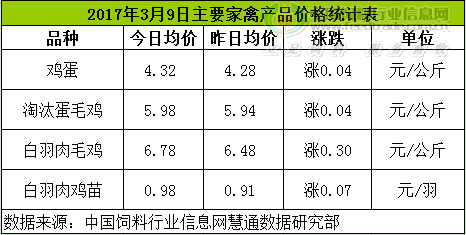 鸡评.png