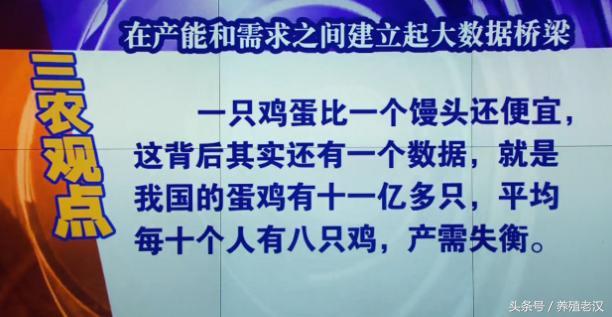 蛋价惨跌的背后，鸡蛋价值何时走出低谷？