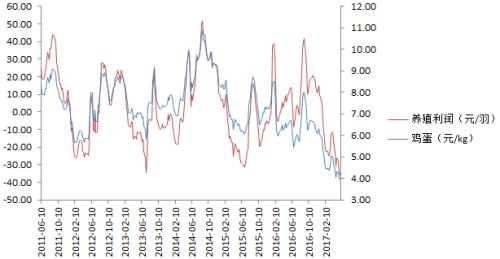 鸡蛋：中期上涨可期待 周期上涨要等待