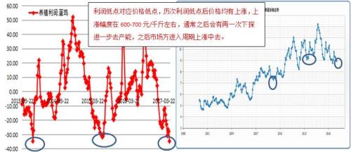 鸡蛋：中期上涨可期待 周期上涨要等待