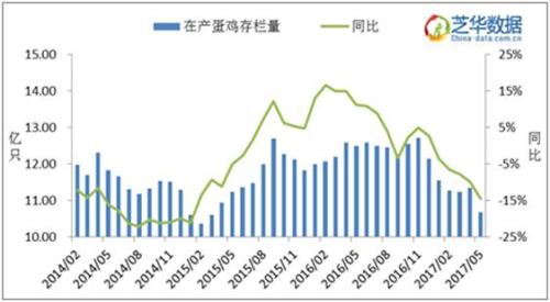 鸡蛋为何大涨大跌？ 因为鸡多蛋就多 蛋涨鸡也涨