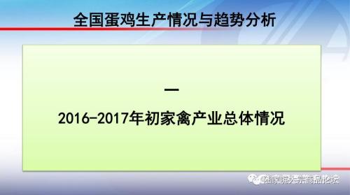 全国蛋鸡生产情况与趋势分析