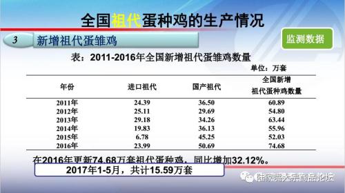 全国蛋鸡生产情况与趋势分析