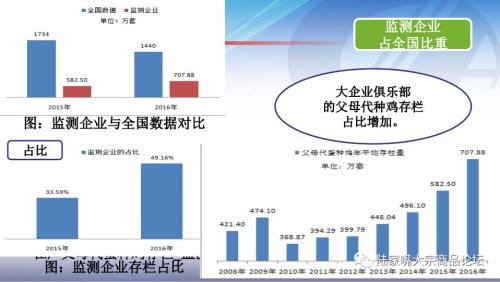 全国蛋鸡生产情况与趋势分析