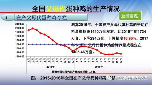 全国蛋鸡生产情况与趋势分析