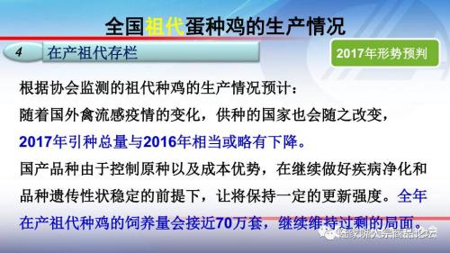 全国蛋鸡生产情况与趋势分析