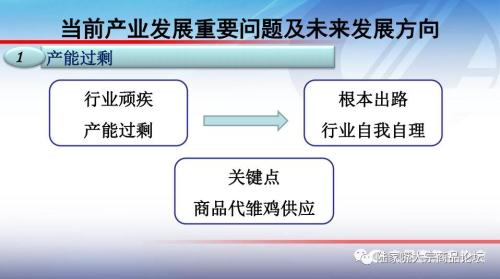 全国蛋鸡生产情况与趋势分析