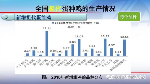 全国蛋鸡生产情况与趋势分析