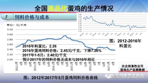 全国蛋鸡生产情况与趋势分析