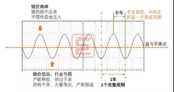 养猪如炒股，掌握这些，你就能价格低潮中扭亏为盈