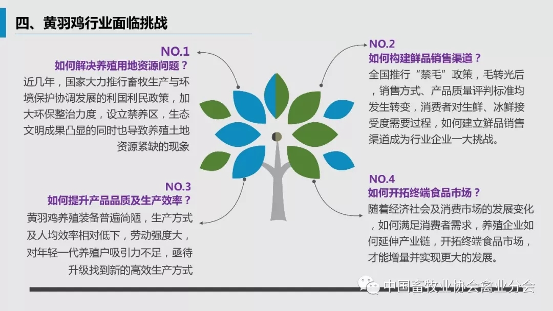 640.webp (11).jpg