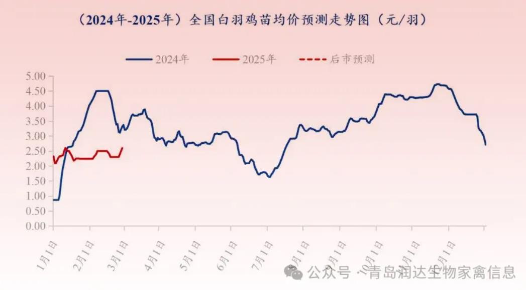 21.jpg 图片