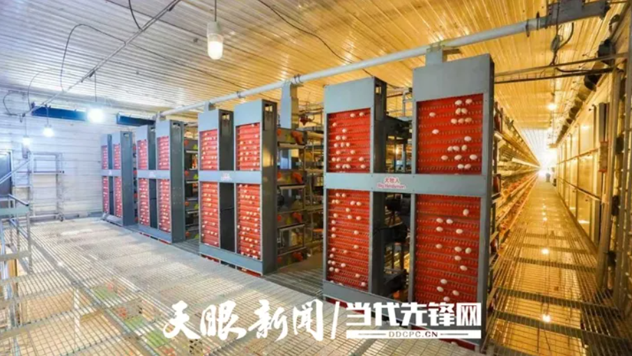 微信图片_202504131925293.jpg