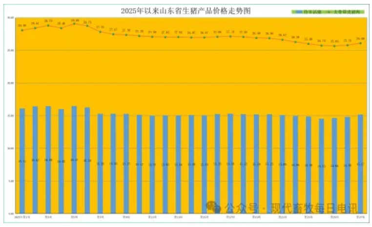 1.png 图片
