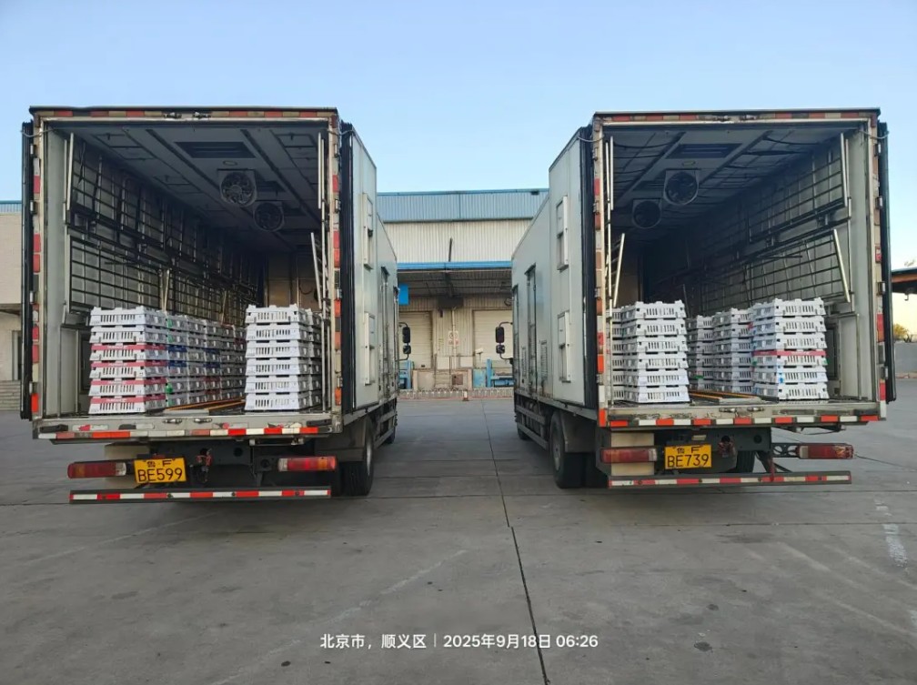 微信图片_20250918085130.jpg